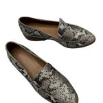 Madewell  Frances Leather Snake Pointed Toe Flat Loafers Size 6.5 Photo 7