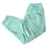 TNA Aritzia Extra Fleece Sweatpants Athleisure Influencer Mint Size Small Green Photo 4