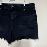 American Eagle  High Rise Mom Shorts Distressed 20 Plus Size Women Photo 1