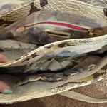 Elliott Lucca Cream Snake Print Purse NWT Tan Photo 5