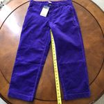 The North Face  Peak Purple Corduroy Cropped Pants Womens 12 regular NWT Photo 3