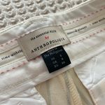 Anthropologie The Essential Slim by Beige & Black Pinstripe Pants Photo 4