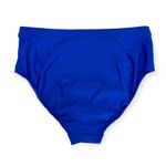 🔃Blue High Waisted Bikini Swimsuit Bottom Size L Photo 1