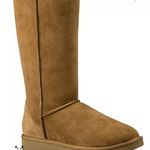 UGG Chestnut Women's Classic II Tall Boots Photo 0