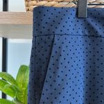 Loft  Marisa Skinny Velveteen Polka Dot Mid-Rise Dress Pant Trouser, 12 Photo 6