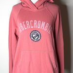 Abercrombie & Fitch Abercrombie Pink Logo Hoodie Photo 0