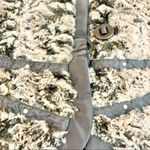 Women’s Montana Co Brown/black Faux Fur Button Vest size small Brown Photo 6