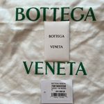 Bottega Veneta  Desiree Crossbody Bag in Taupe Leather w/Dust Bag #R00197211S Photo 14