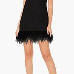 Likely Marullo feather trim black mini dress size 0 new with tags Photo 0