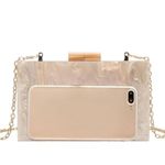 None Acrylic Clutch Bag with Removable Chain Shoulder Strap Peach and Gold Photo 8