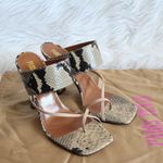 Paris Texas Python Snake Photo 1