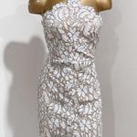 Lulus Lulu’s Delicate Darling Beige and Ivory Lace Bodycon Mini Cocktail Dress Size S Photo 3