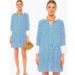 Tuckernuck Hayes Blue White Stripe Drop Waist Button Front Collared Shirt Dress Size XS Photo 1
