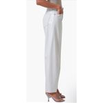 AGOLDE NWT  Luna High Waist Barrel Leg Leather Blend Pants in Wisp Sz 25 $348 Photo 2
