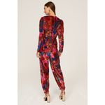 Farm Rio Snake Garden Red Velvet Floral Print V-Neck Long Sleeve Jumpsuit Sz XS Photo 2