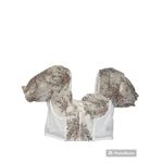 Floral Lace Puff Sleeve Sweetheart Neck Bustier Corset Crop Top White Size L Photo 5
