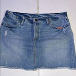 Polo Ralph Lauren Denim Blue Women's mini Skirt size 14 Photo 0