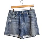 Rag and Bone Miramar Walking Brooke Shorts XL Distressed Denim Terry Cloth NEW Photo 1