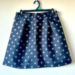 J.Crew NWOT Size Small (4) Black Pleated Mini Skirt Silver Polka Dots Bubble Photo 0