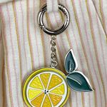 Ted Baker Linen Blend Anzaa Mix Stripe Suit Trousers Ivory Citrus Keychain US 00 Photo 7