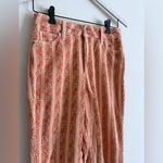 BDG Urban Outfitters Corduroy Striped Floral Pants Size 25 Photo 1