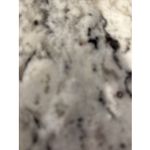 J.Crew Perforated Slip On Sneakers Loafer Shoe Slides Casual Black Size 9 M Photo 4