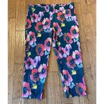 Soft Surroundings  Papavero floral ponte pant size 3x Photo 11