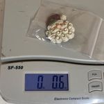 Old World Look Santa Tie Tack Pin Brooch Jewelry Curly Beard Cap Vintage Photo 13