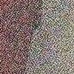 Love Tree Square Neck Bodysuit (419) Photo 3