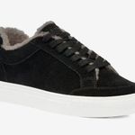 Birdies Cardinal Black Sneaker with Faux Shearling Interior S-188 Sz 9 Photo 0