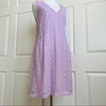 NWT Francesca’s (Blue Rain) Lavender Lace Shift Dress M Purple Size M Photo 6
