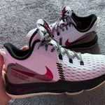 Nike Lebron Sneakers Photo 0