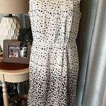 Loft Ann Taylor Outlet Womens Size 10 Black White Sleeveless Dress Preppy FLAWED Photo 0