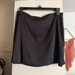 Aritzia Skirt Photo 1