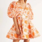 Zimmermann NWOT  post card belted dress size2 Photo 2