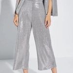 ZARA Silver Sequin Cullotes Photo 0