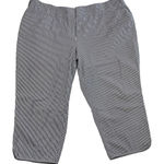 Lane Bryant The Curvy Allie Pants Ankle Trousers Micro Stripe Stretch Size 24 Photo 0