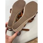 Cole Haan Sandals Size 11 B Brown Strappy Ankle Strap Buckle Open Toe Chic Photo 9