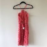 ASTR Lace High Halter Neck Open Back Mini Dress, NWT Photo 5