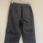 Aritzia New! Babaton Titan Silk & Cotton Blend Cargo Pants - Gorgeous! Photo 9