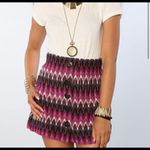 Free People button down chevron sweater retro skirt Photo 0