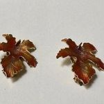 Beautiful Fall Autumn Orange Leaves Clip Photo 0