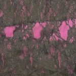 Lane Bryant  Black Lace Overlay Purple Lined Blouse Romantic Gothic Vintage 4X Photo 5