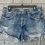 AGOLDE Parker Denim Shorts Distressed Size 29 Photo 2