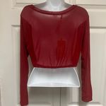 Pretty Angel Wine Sheer Cropped Mesh Top Photo 5