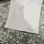 Loft New High Rise Straight Crop Jeans Size 29/8 Photo 7