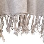 Passports  small Pancho Photo 3