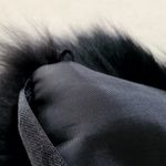 NWOT Black Fox Collar Photo 5