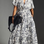 Anthropologie  Somerset Maxi Dress Grey Floral Vines Birds Size XS Photo 0