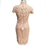 Tadashi Shoji  - High Neck Lace Knee Length Dress  Size 8 Photo 6